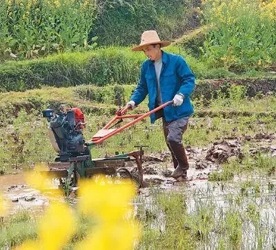 疫情防控的基本常識是什么？（疫情防控和春耕備耕兩不誤）